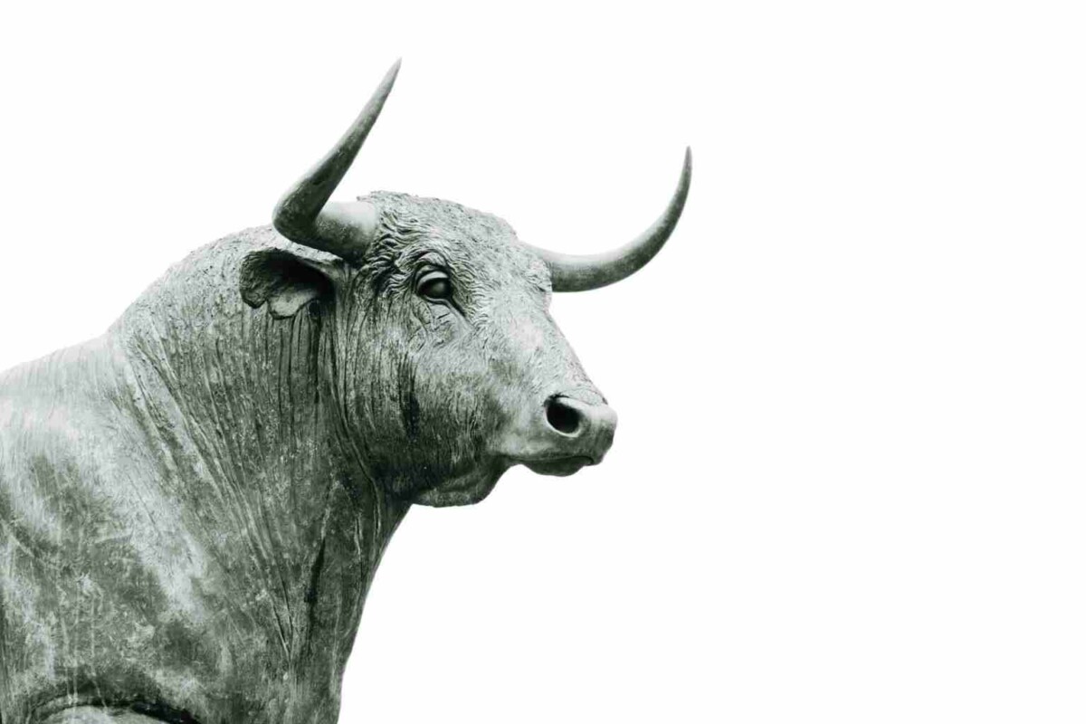 Bull of the Stock Market